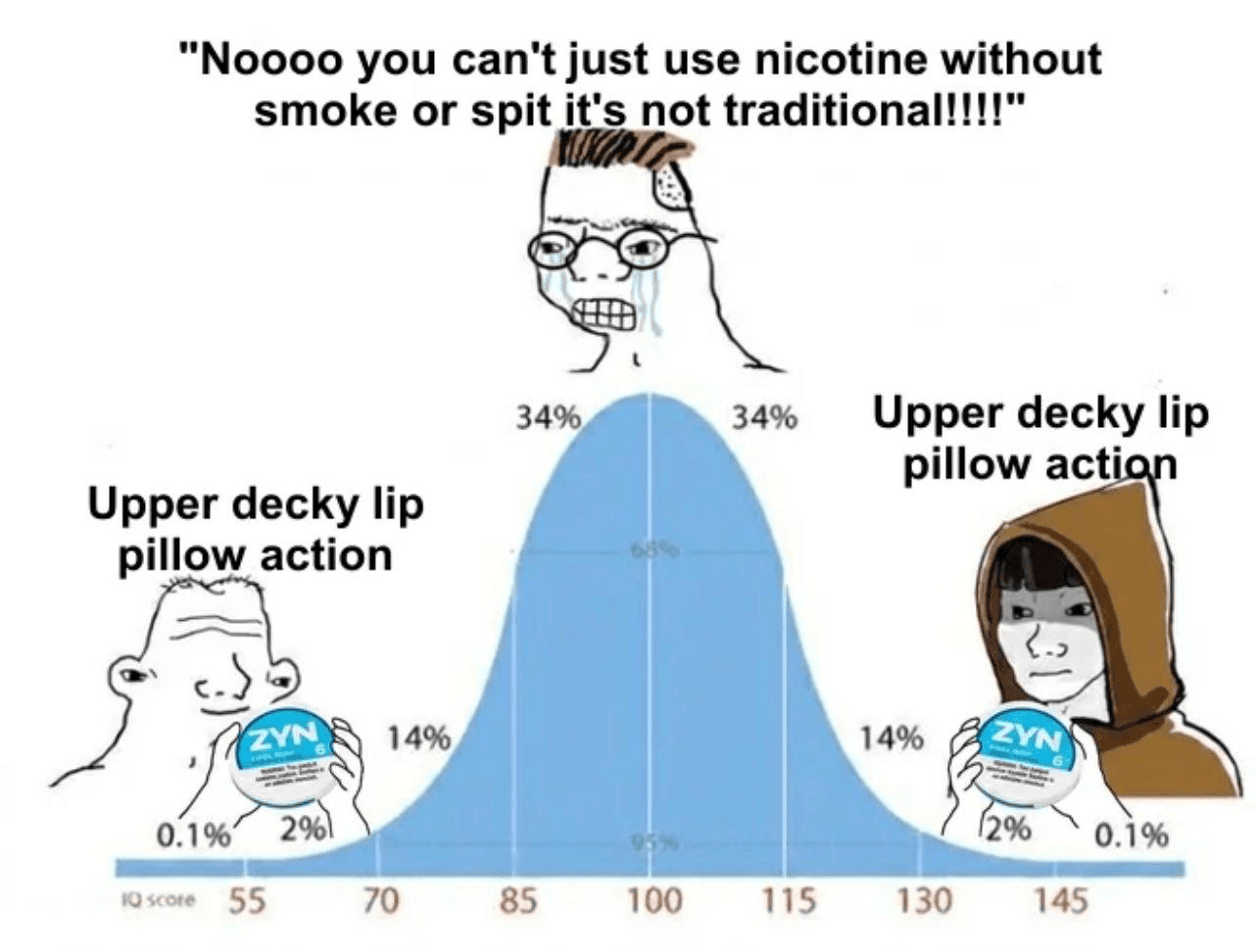 Zyn brand meme ad example